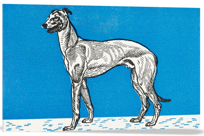 GALGO