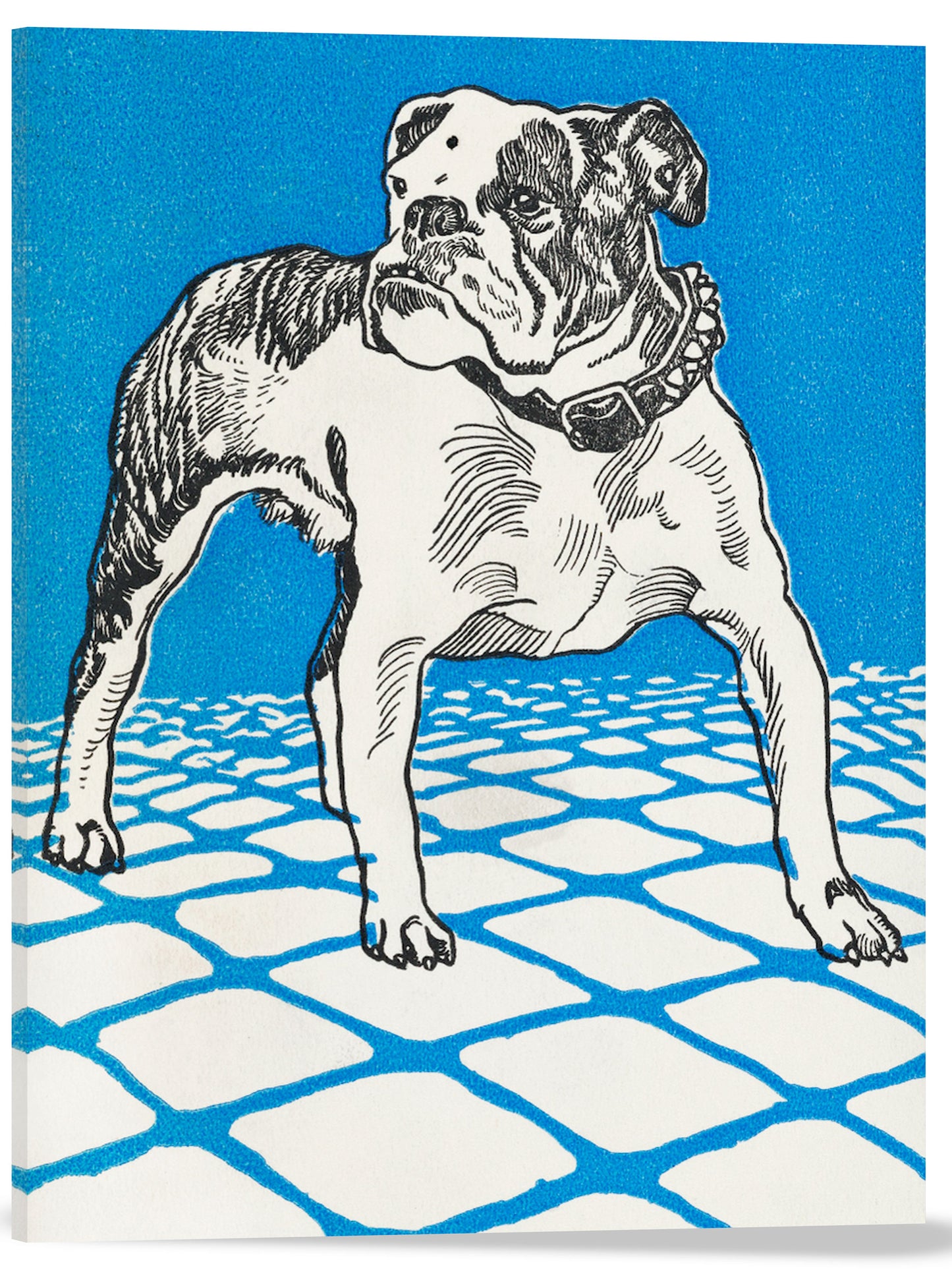 BULLDOG