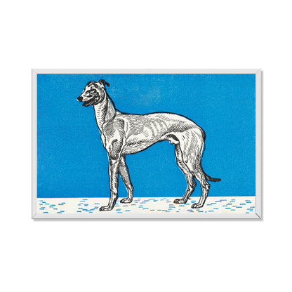 GALGO