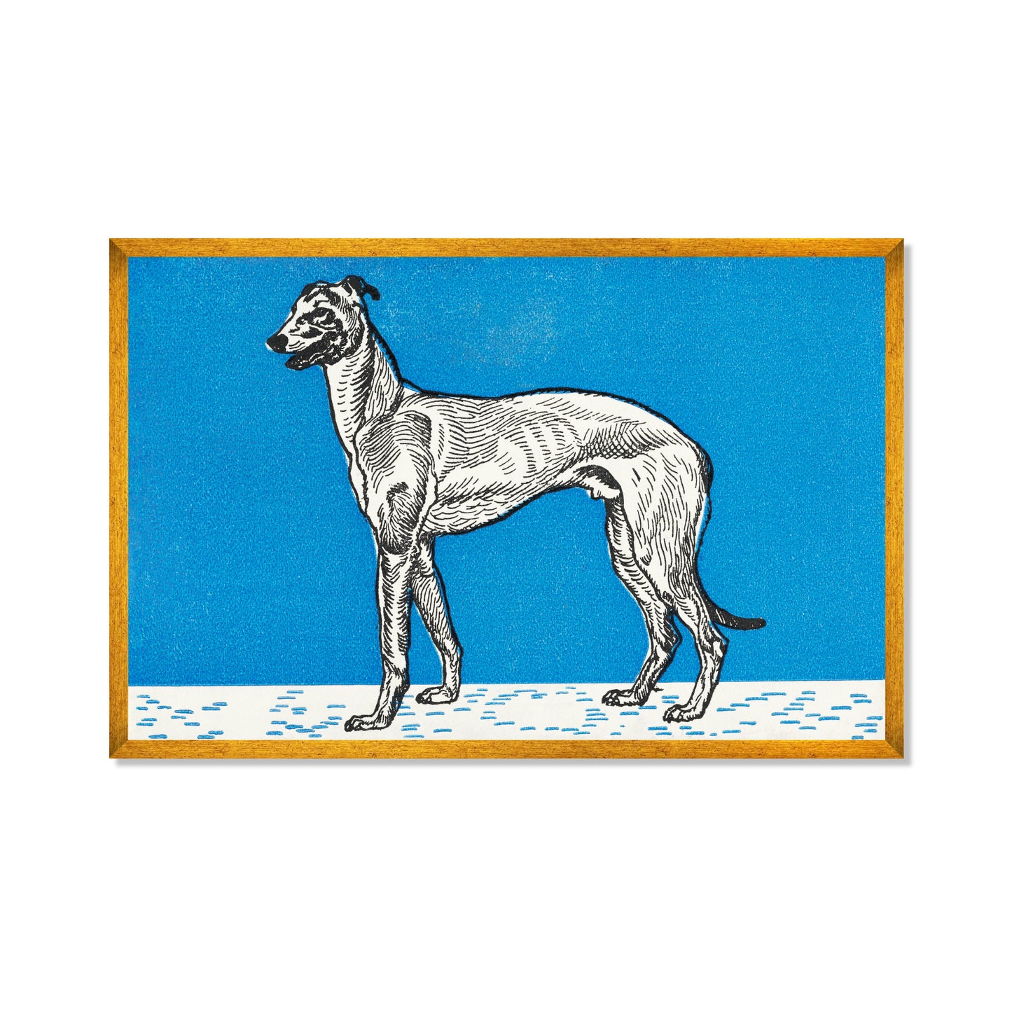 GALGO