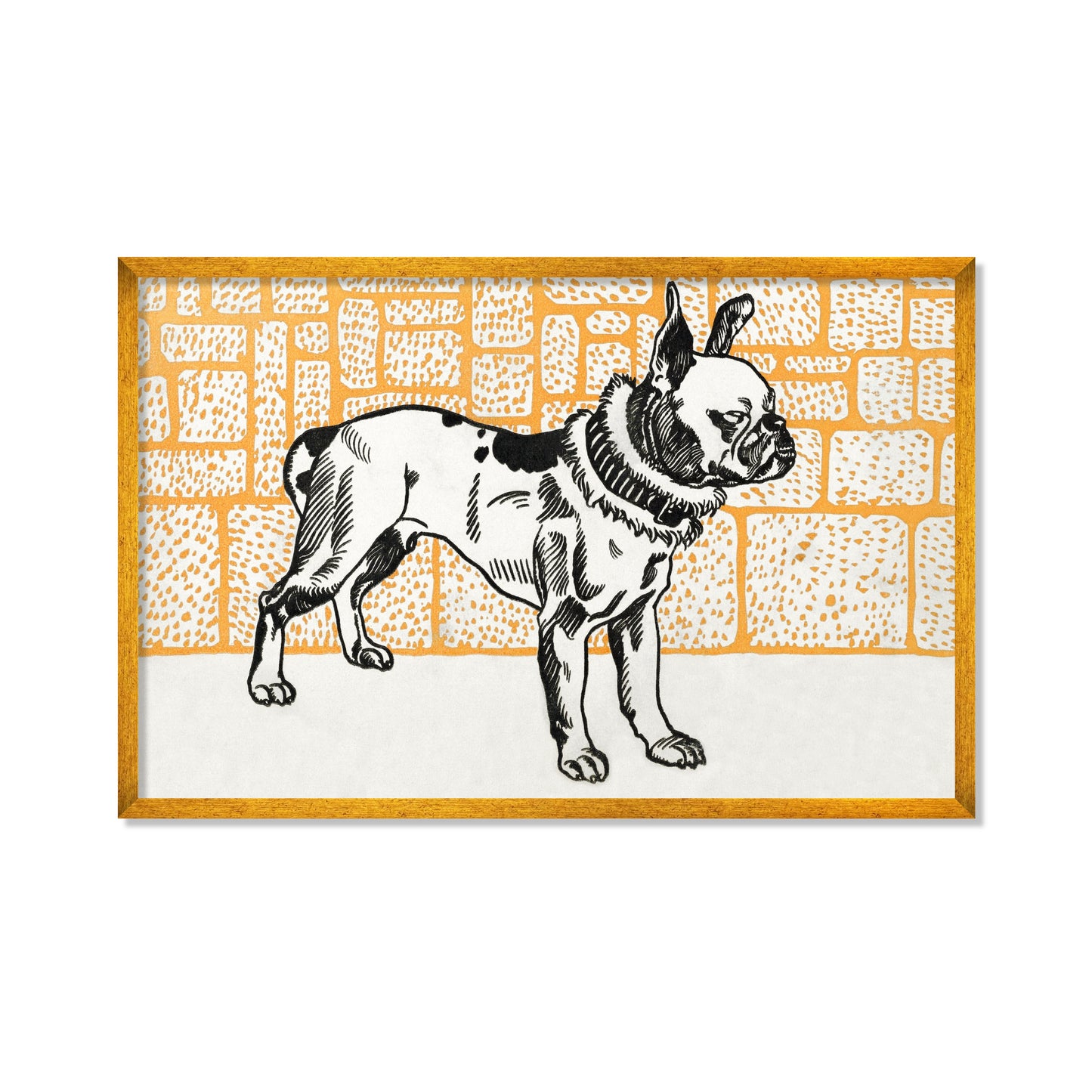 PITBULL TERRIER