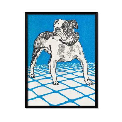 BULLDOG