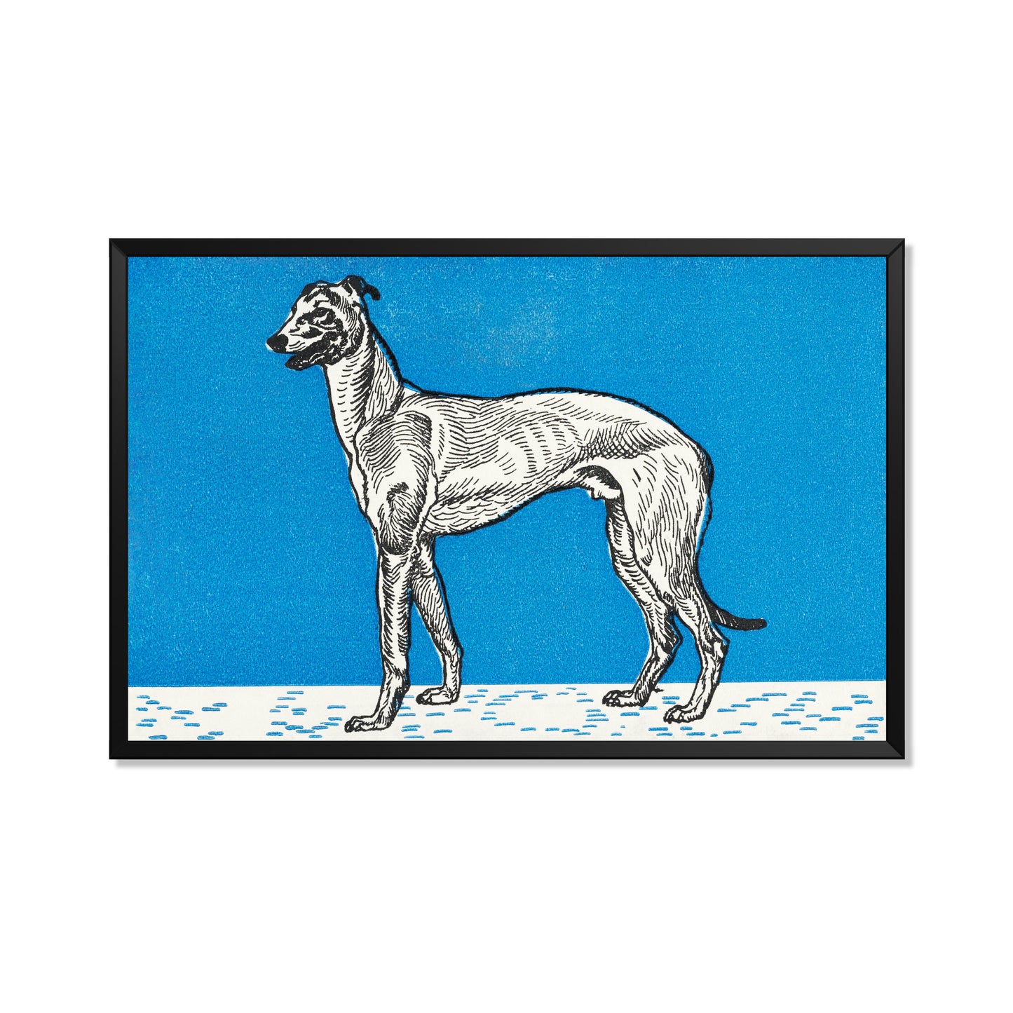GALGO