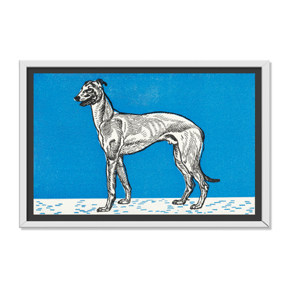 GALGO