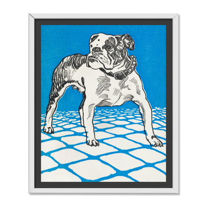 BULLDOG