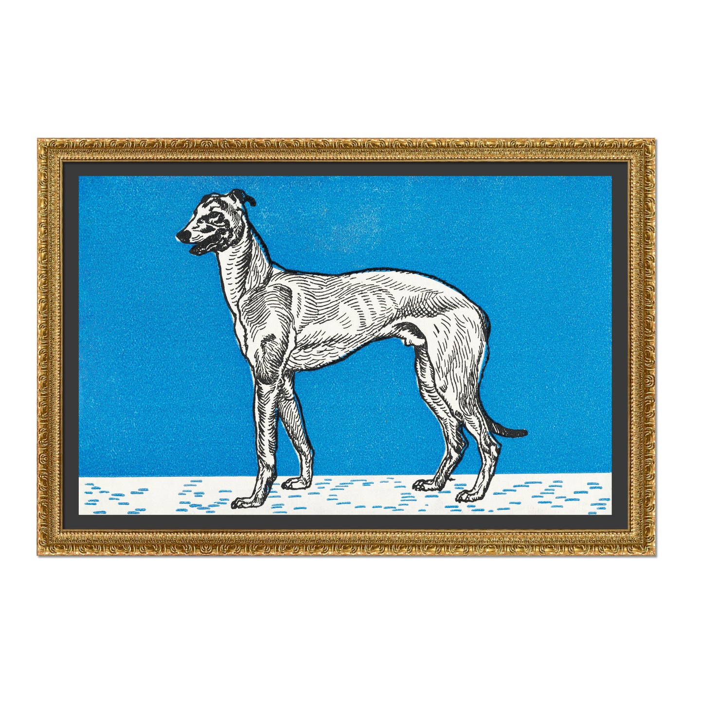 GALGO