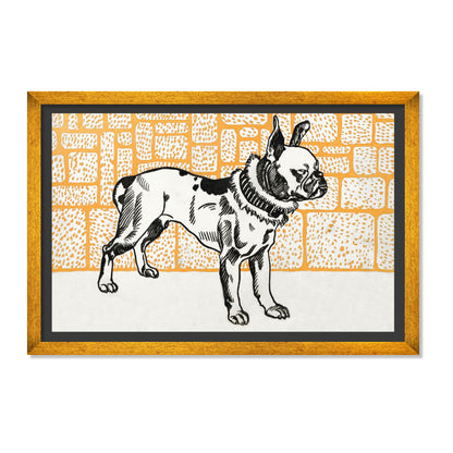 PITBULL TERRIER