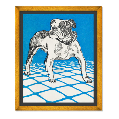 BULLDOG