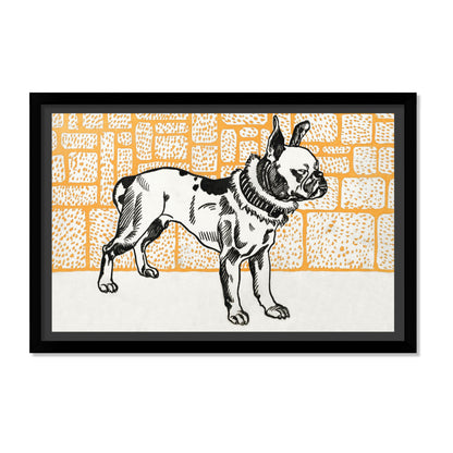 PITBULL TERRIER