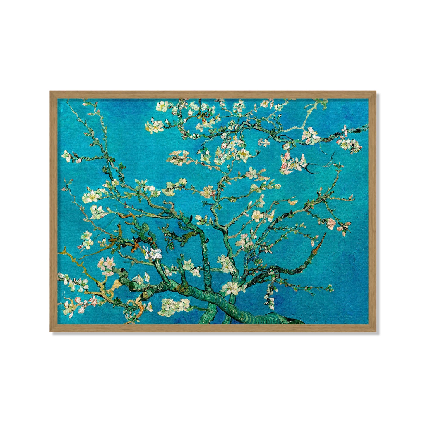 ALMENDRO EN FLOR