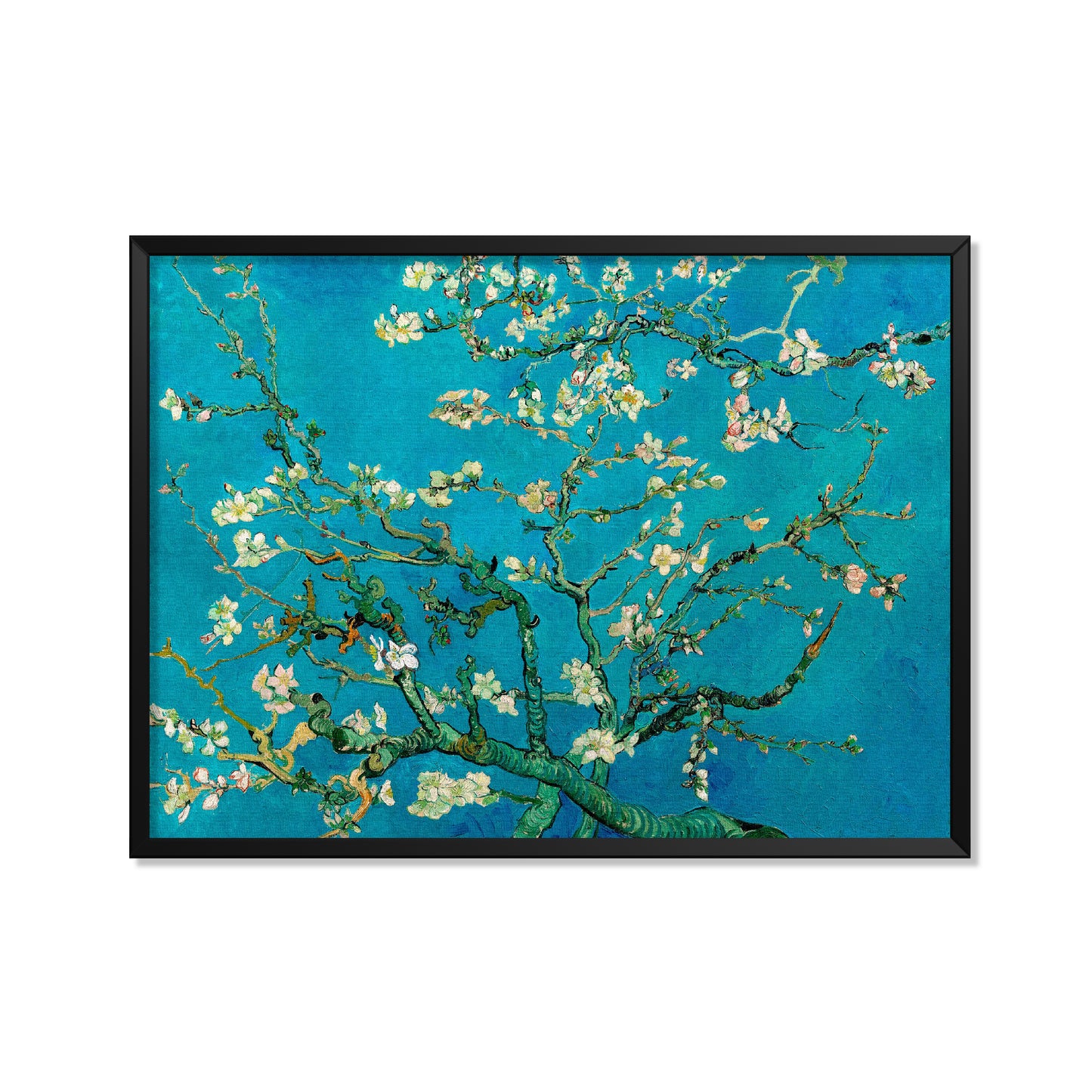 ALMENDRO EN FLOR