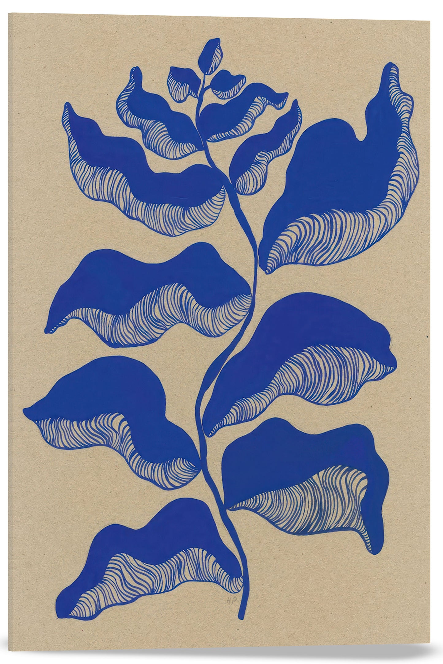 PLANTAS EN AZUL