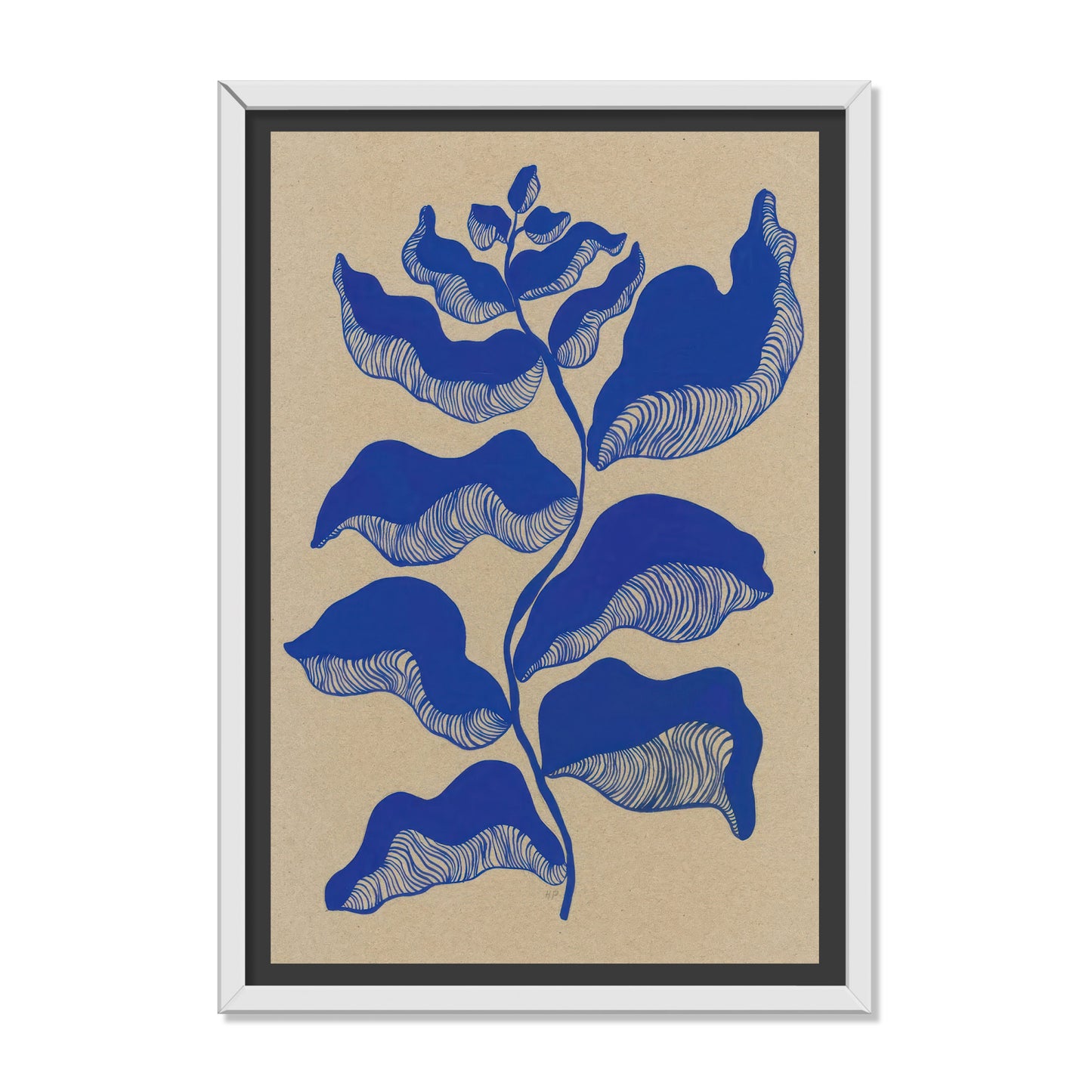 PLANTAS EN AZUL