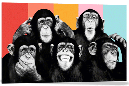 CHIMPANCÉS POP ART