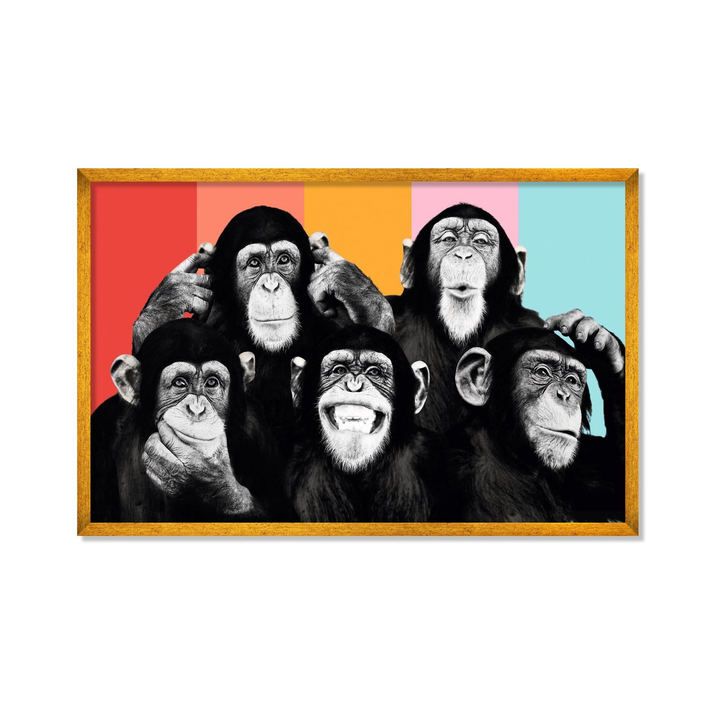 CHIMPANCÉS POP ART
