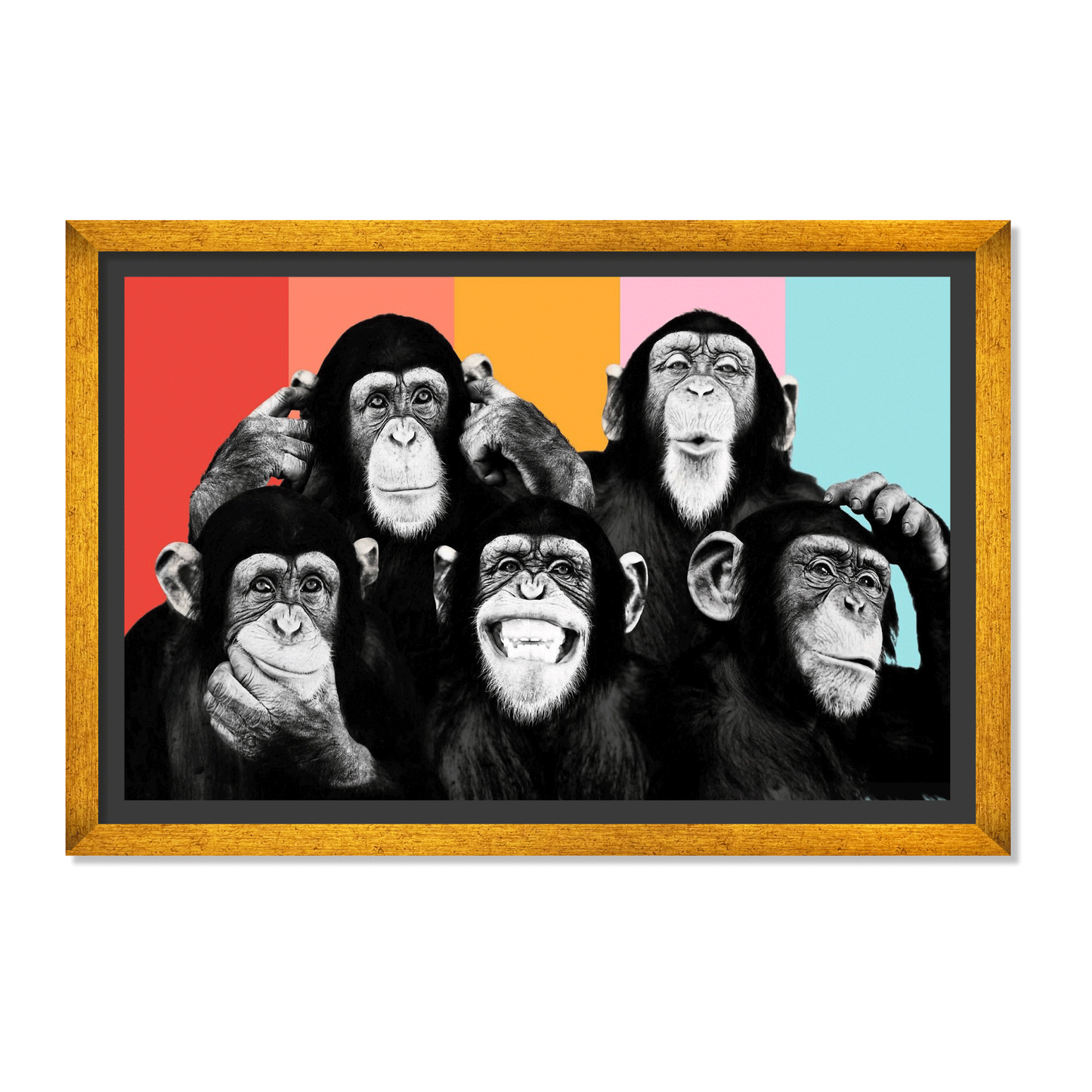 CHIMPANCÉS POP ART