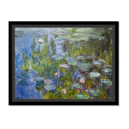 ESTANQUE DE NENÚFARES