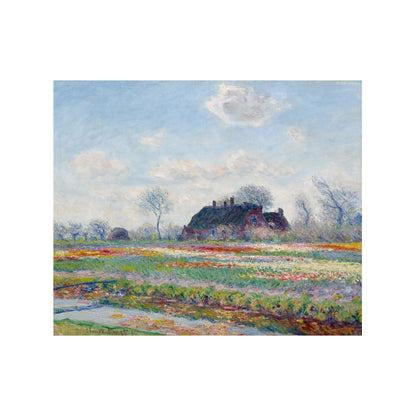 CAMPOS DE TULIPANES