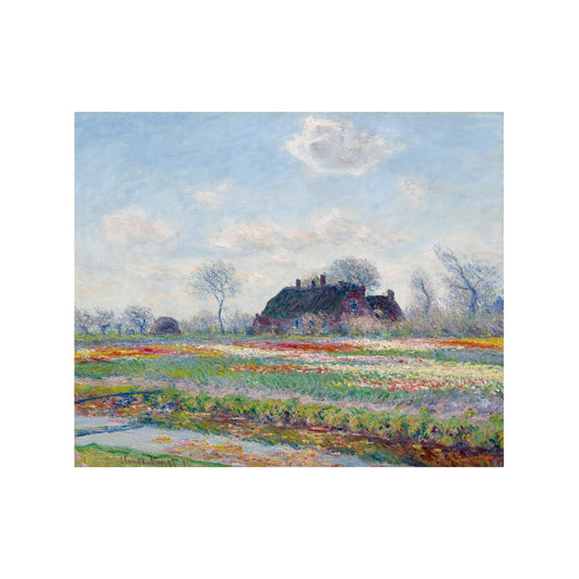CAMPOS DE TULIPANES