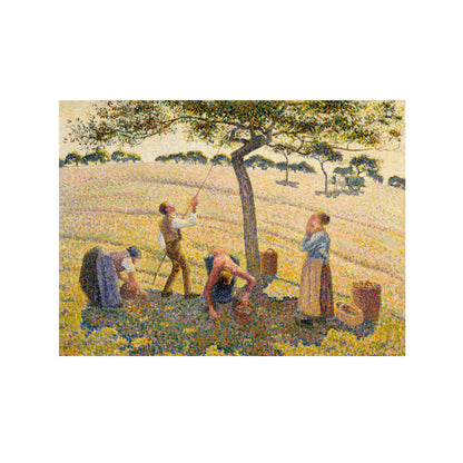LA COSECHA DE MANZANAS