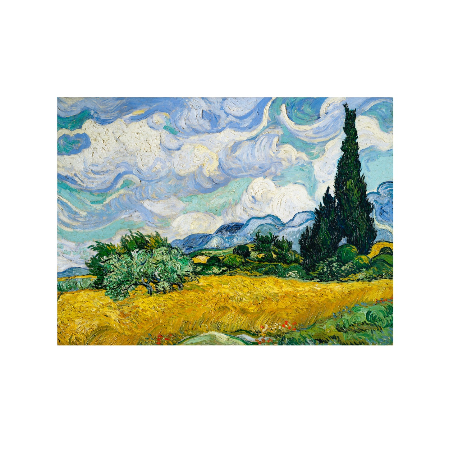 CAMPO DE TRIGO CON CIPRESES