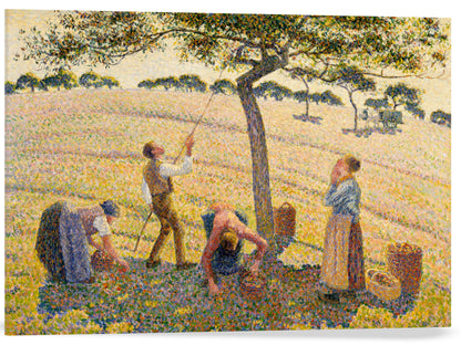 LA COSECHA DE MANZANAS