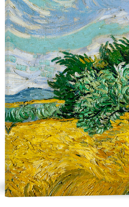 CAMPO DE TRIGO CON CIPRESES