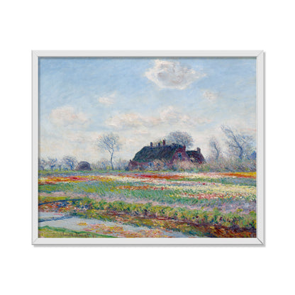 CAMPOS DE TULIPANES