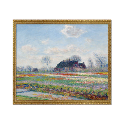 CAMPOS DE TULIPANES