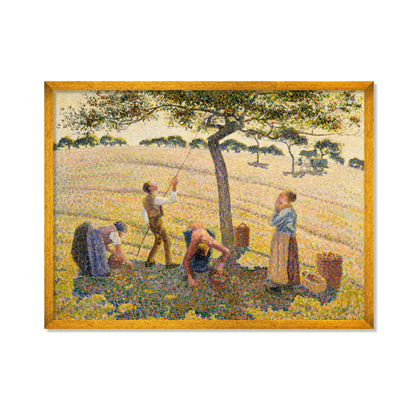 LA COSECHA DE MANZANAS