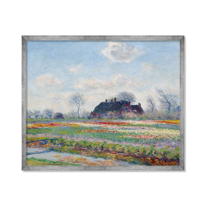 CAMPOS DE TULIPANES