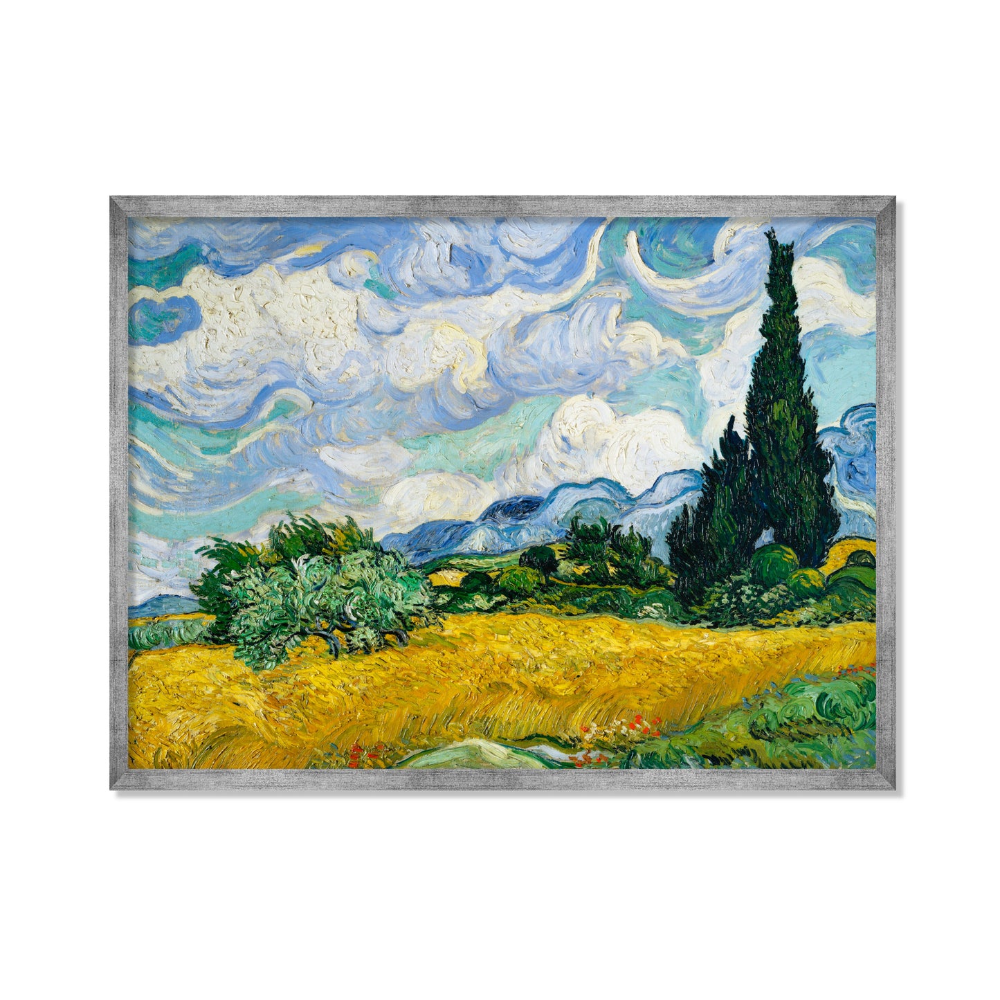 CAMPO DE TRIGO CON CIPRESES