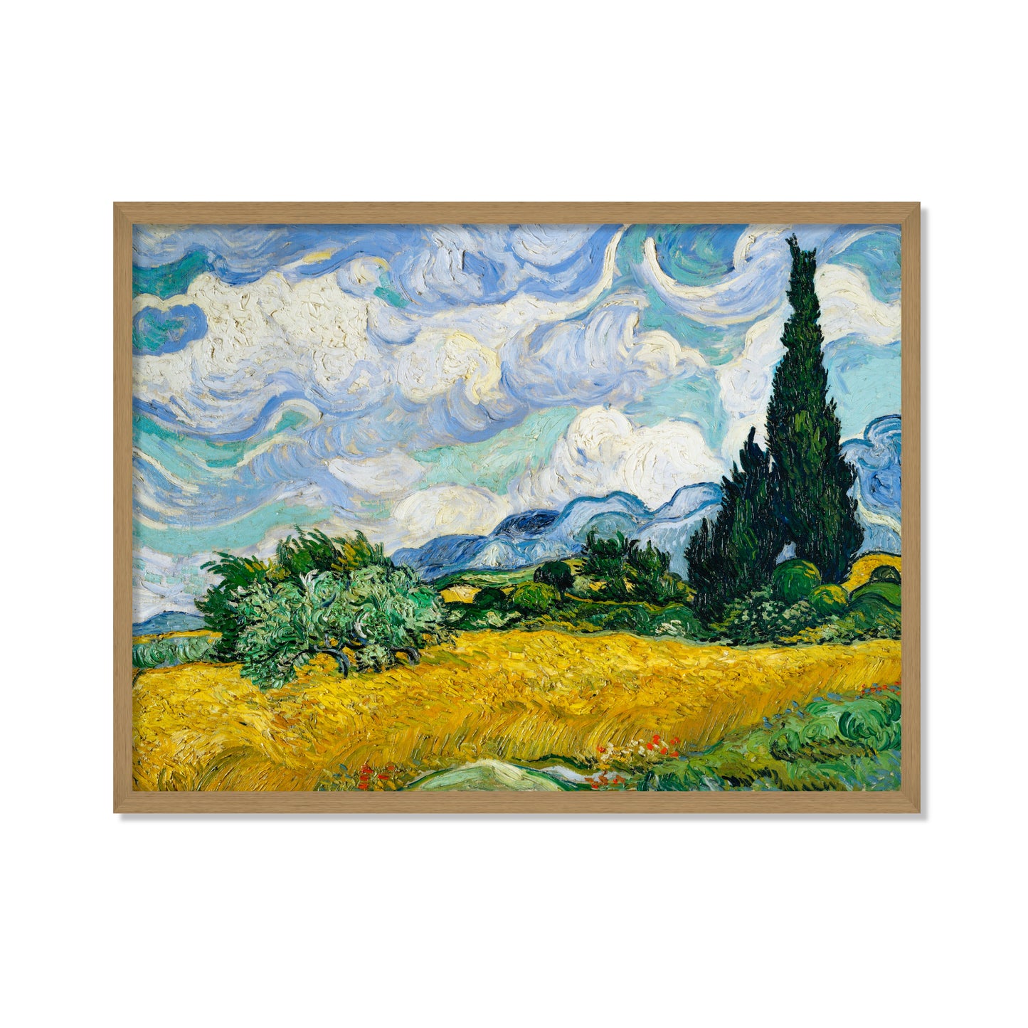 CAMPO DE TRIGO CON CIPRESES