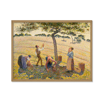 LA COSECHA DE MANZANAS