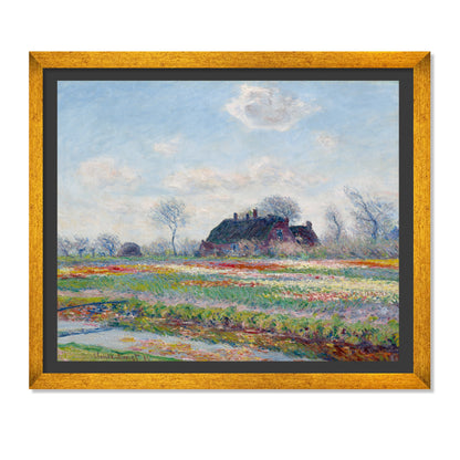 CAMPOS DE TULIPANES