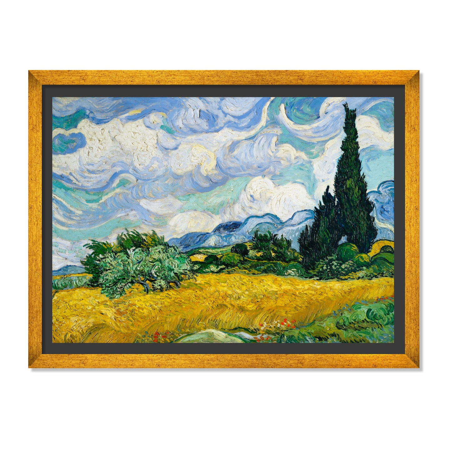 CAMPO DE TRIGO CON CIPRESES