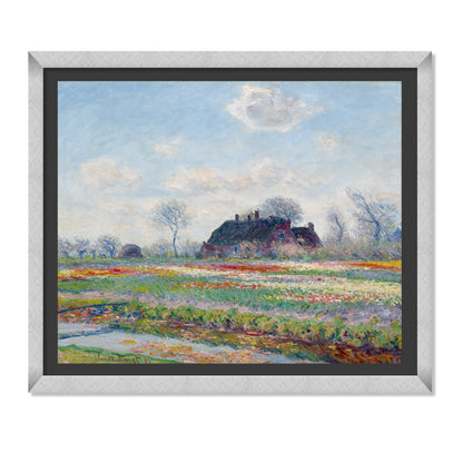 CAMPOS DE TULIPANES
