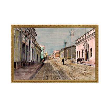 VISTA DE LA CALLE PALMA 1868