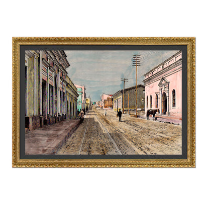 VISTA DE LA CALLE PALMA 1868