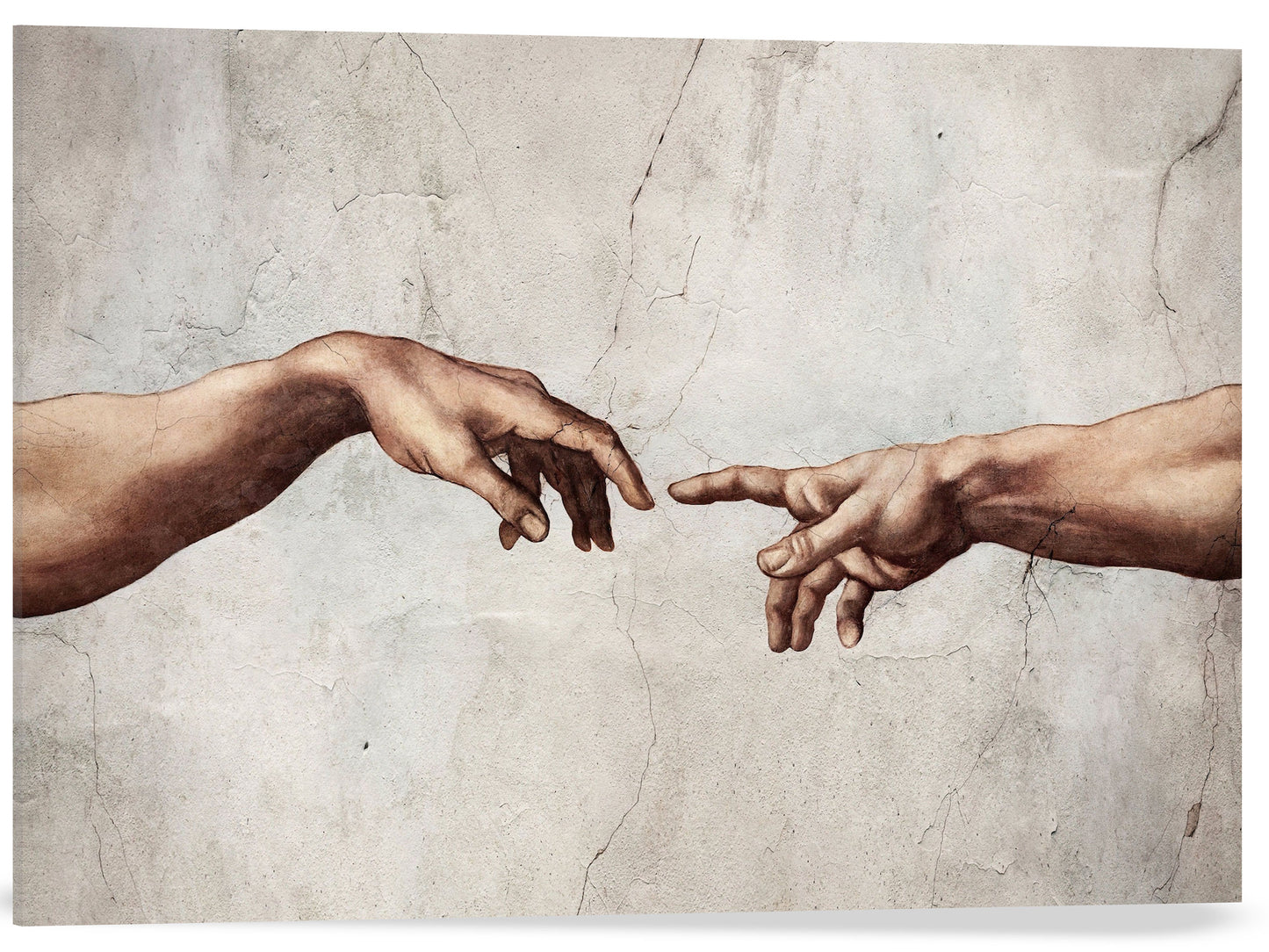 LAS MANOS DE LA CREACIÓN