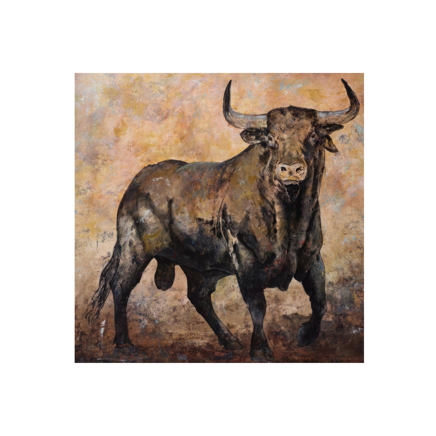 TORO BRAU