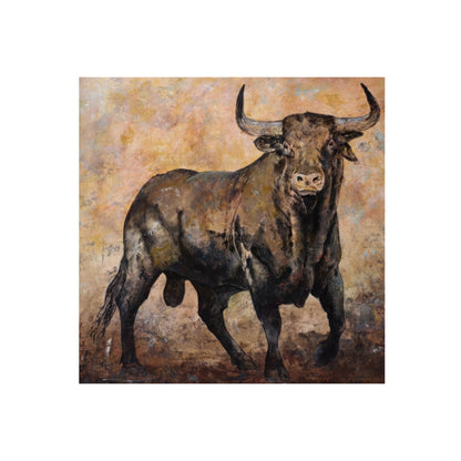 TORO BRAU