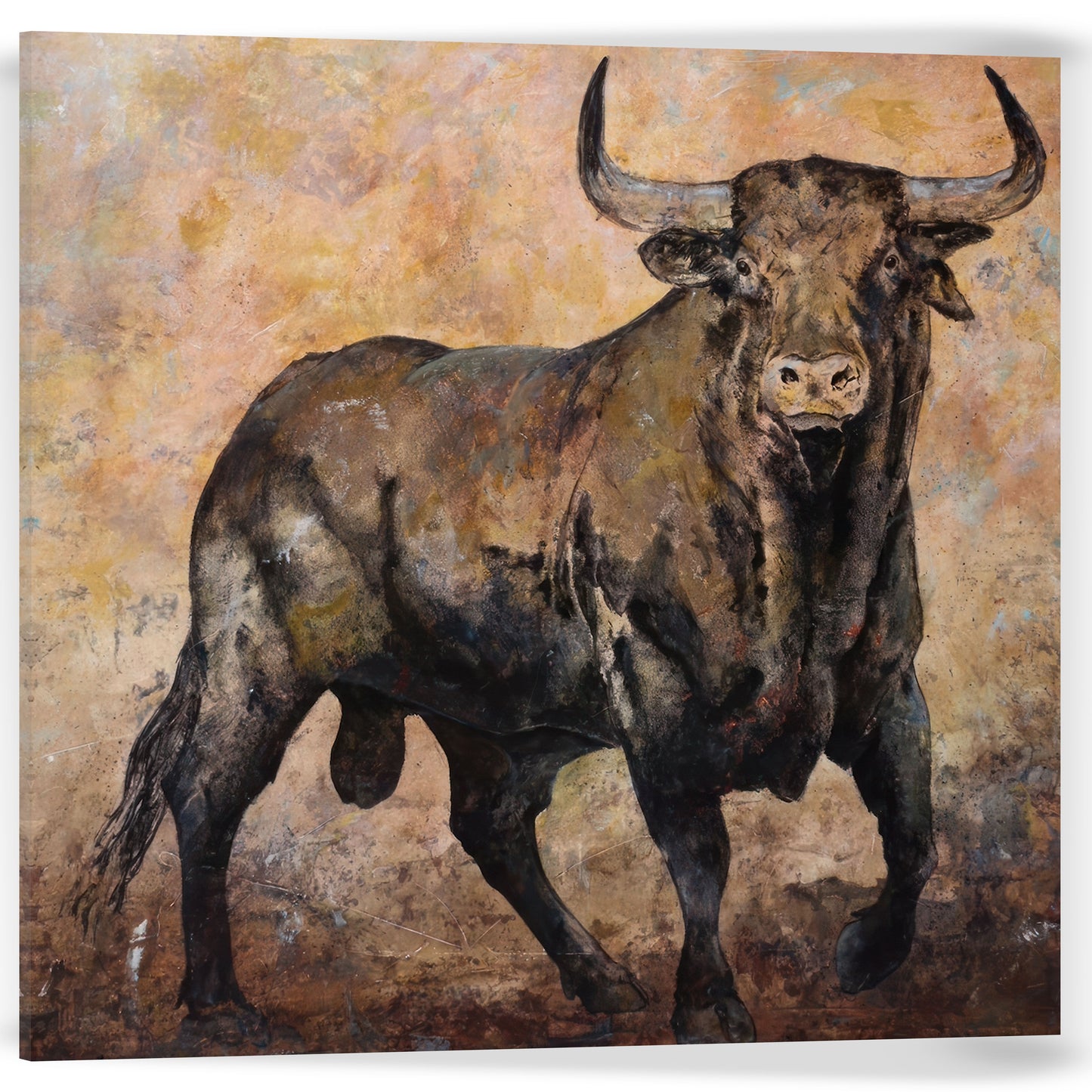TORO BRAU