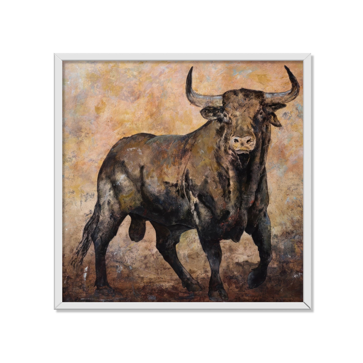 TORO BRAU