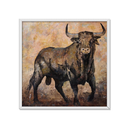 TORO BRAU