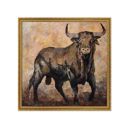 TORO BRAU
