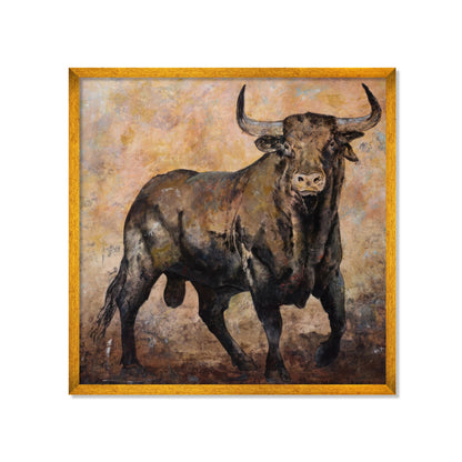 TORO BRAU