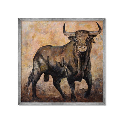 TORO BRAU
