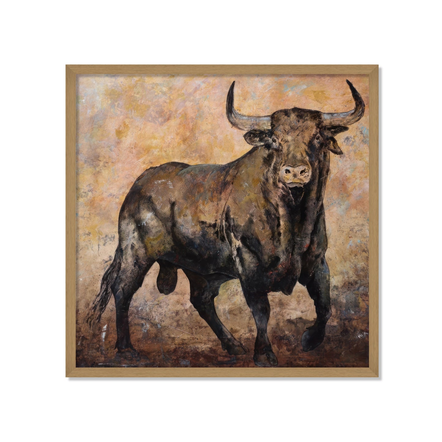 TORO BRAU