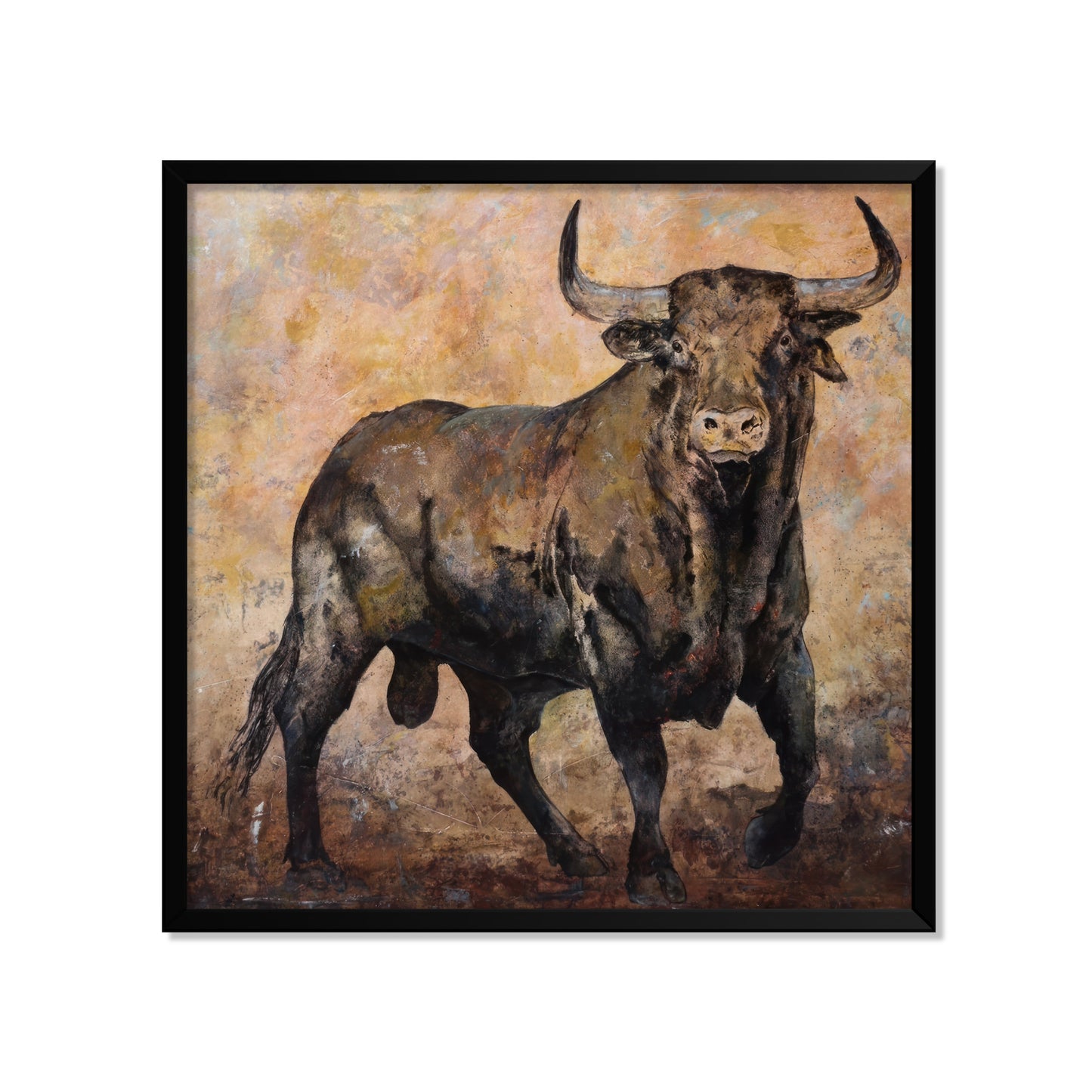 TORO BRAU
